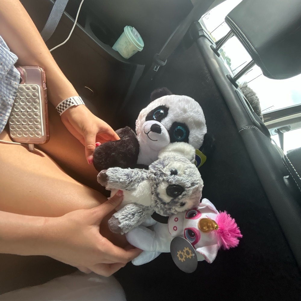 Black and White Small Pet Plush Toy